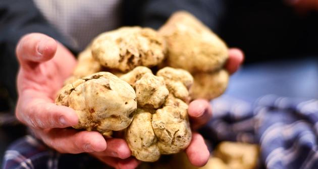 Italian White and Black Truffle