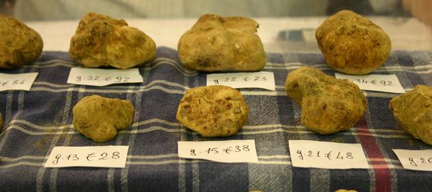 Italian White And Black Truffle