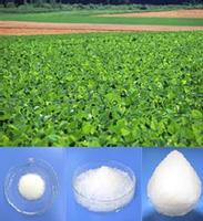 Super Absorbent Polymer