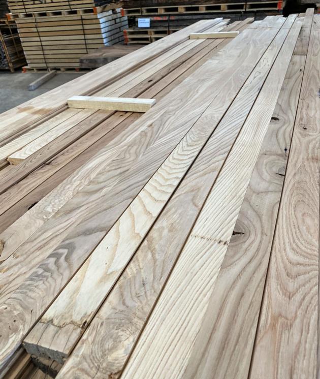 SASSAFRAS WOOD