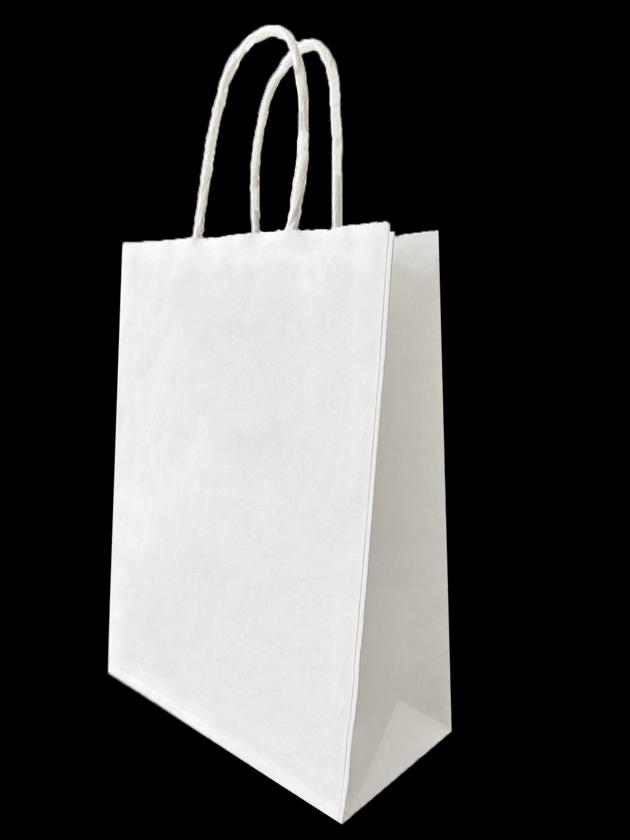 TWIST HANDLE PAPER BAG