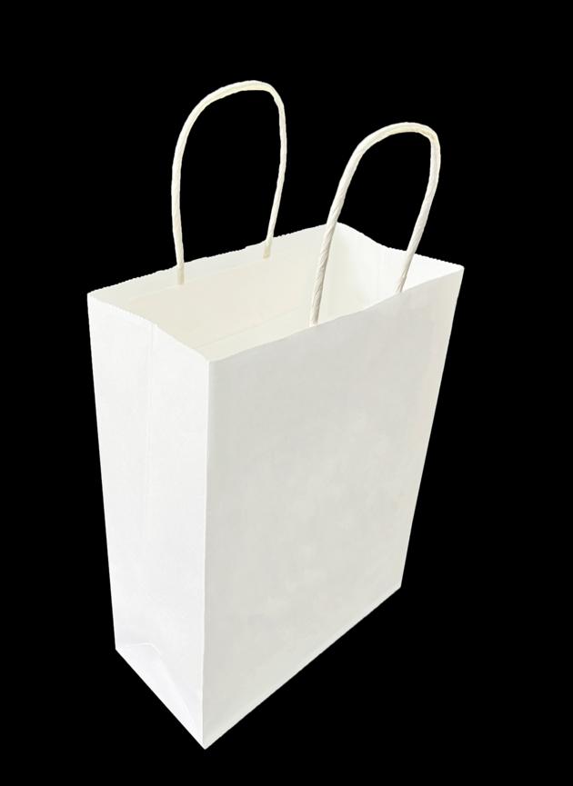 TWIST HANDLE PAPER BAG