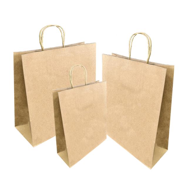 TWIST HANDLE PAPER BAG