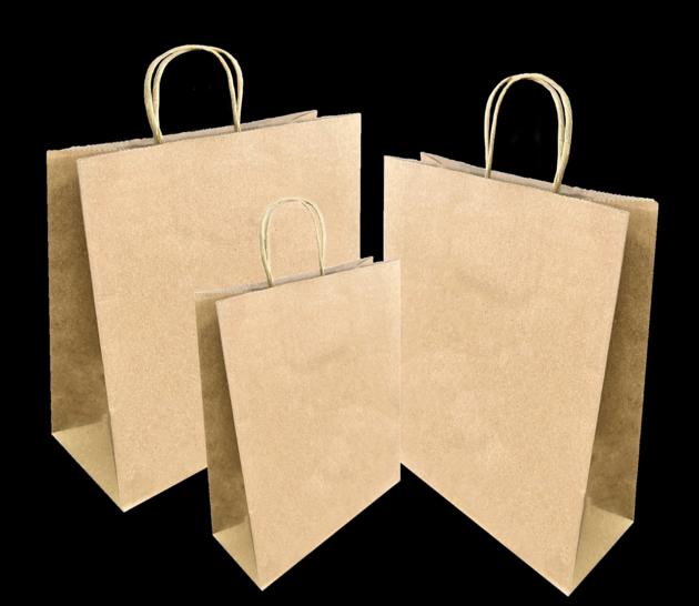 TWIST HANDLE PAPER BAG