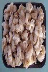 Whelk Meat (Buccinum Undantum)