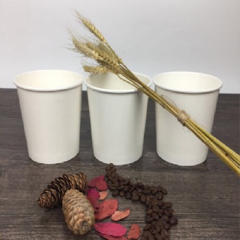 Biodegradable PLA lined disposable paper soup cup with PLA lid