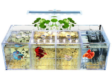 ACRYLIC AQUARIUM AND ACRYLIC FISH TANK