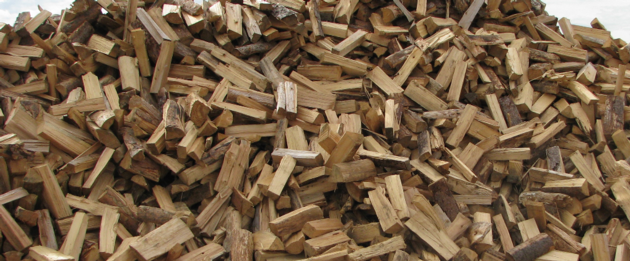 Pine Wood Logs