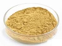Honeysuckle P.E., 25-99% Chlorogenic Acid CAS#: 327-97-9
