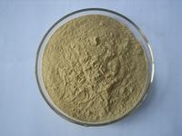 Alfalfa P.E., 5% Alfalfa Flavone CAS#: 84082-36-0