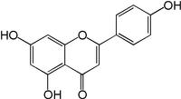 Chamomile Flower P.E., 98% Apigenin CAS#: 520-36-5