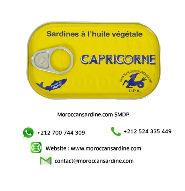 Bulk Moroccan Sardines Wholesale