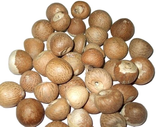 Areca Nuts / Betel Nuts