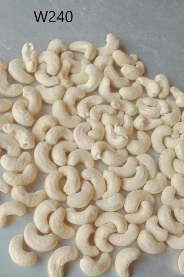 Cashew Nuts W210 W240 W320 W450