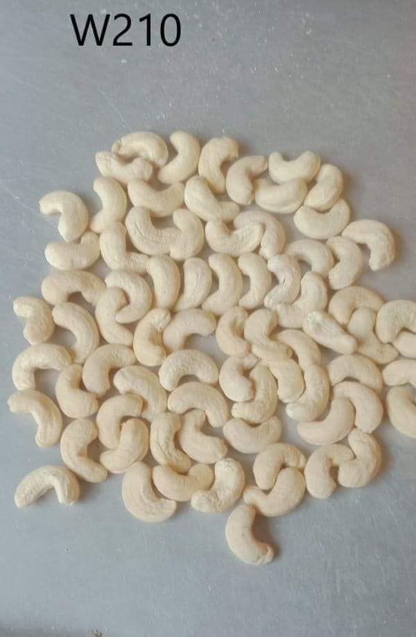 Cashew Nuts W210 W240 W320 W450