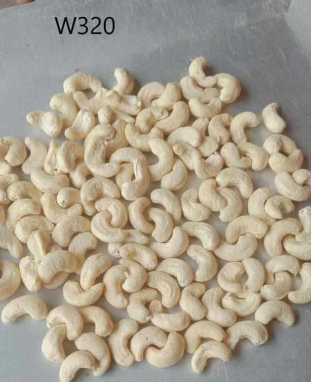 Cashew Nuts W210 W240 W320 W450