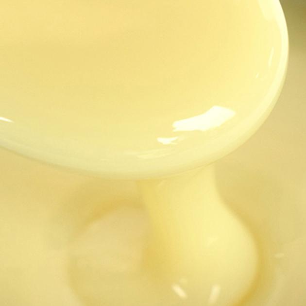 Condensed Milk 