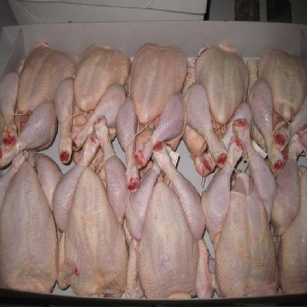 Halal Frozen Whole Chicken And Parts