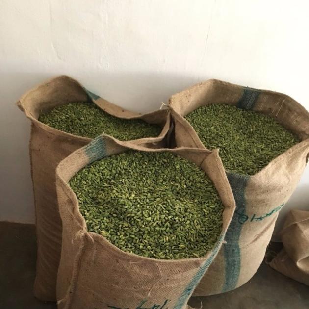 Green Cardamom