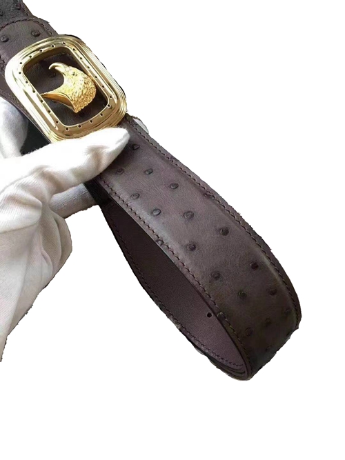 Eagle Head Belt Male Ostrich Grain