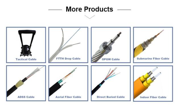 2 Core Single Mode FTTH Fiber