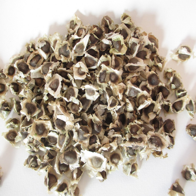 Moringa Seed Moringa Powder