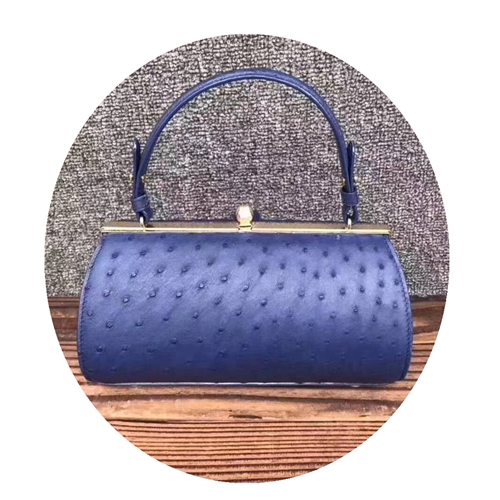 New Ostrich Leather Ladies Handbag Messenger