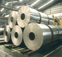 Stainless Steel Coil/Sheet/Plate