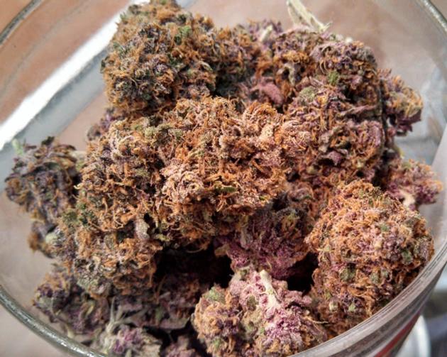 Purple Kush For Sale Online