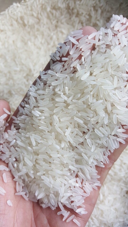 Long Grain Rice 1121 Basmati Rice