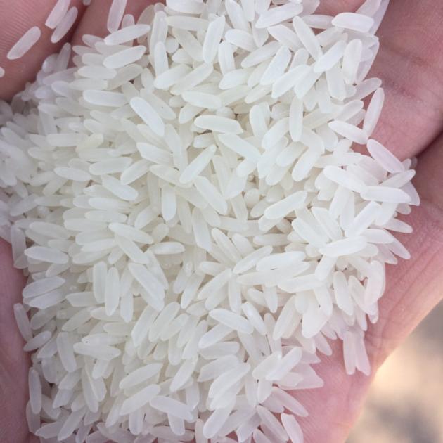 Long Grain Rice / 1121 Basmati Rice