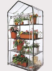garden greenhouse