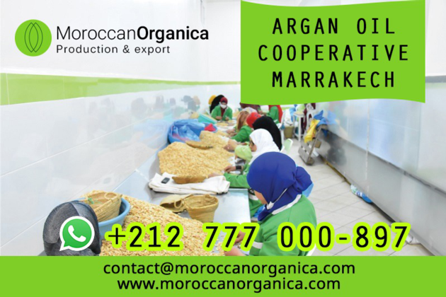 Organic Prickly Pear Seed Oil Wholesale