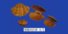 Basketry