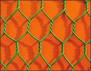hexagona