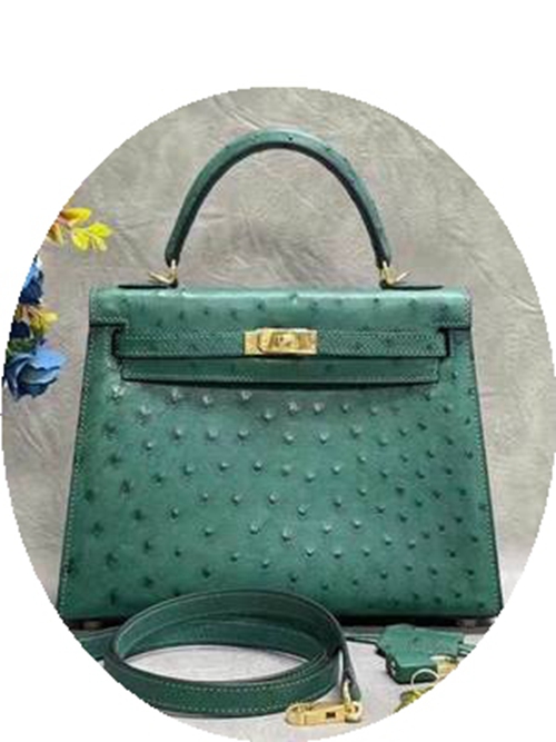 New Women S Bag South Africa