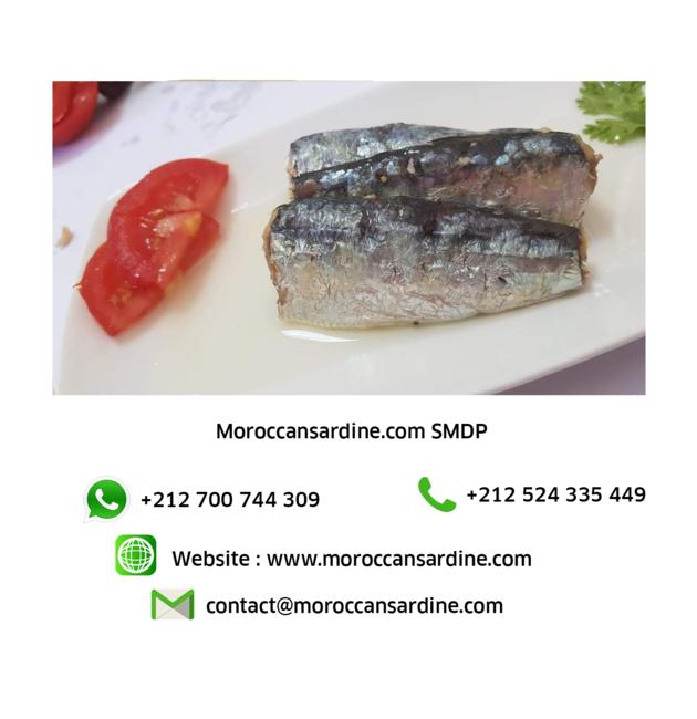 Bulk Moroccan Sardines Wholesale