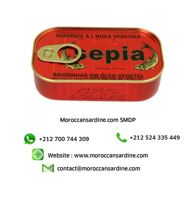 Moroccan sardines export 