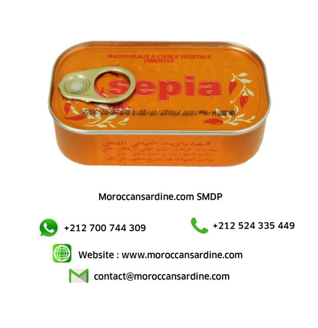 Moroccan sardines export 