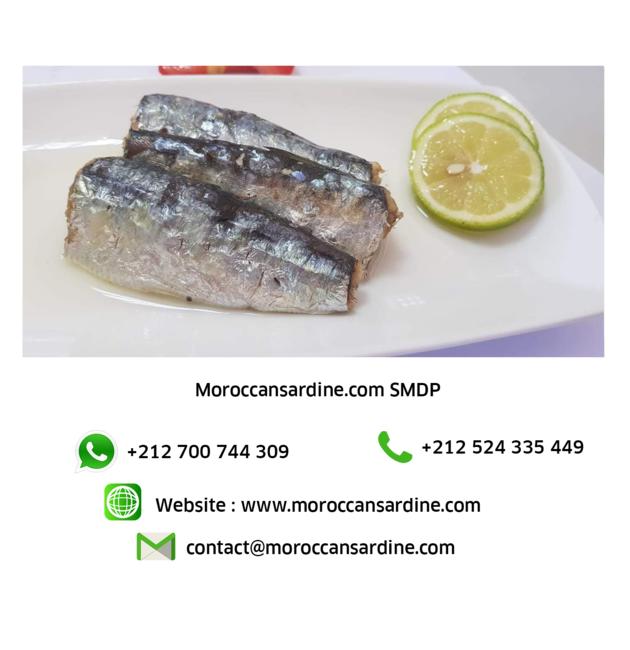 Organic Moroccan Sardines 