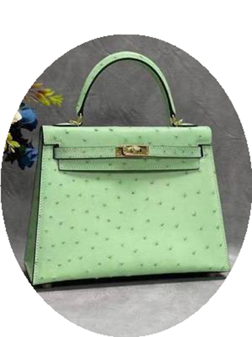New Women S Bag South Africa