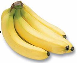 Cavendish Banana