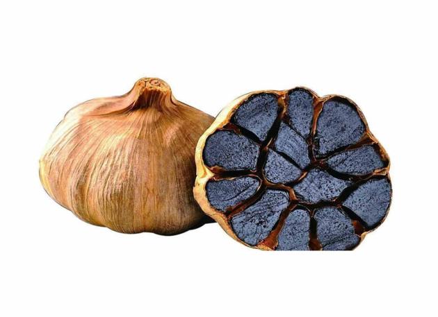 Herbs Extract Manufacturer