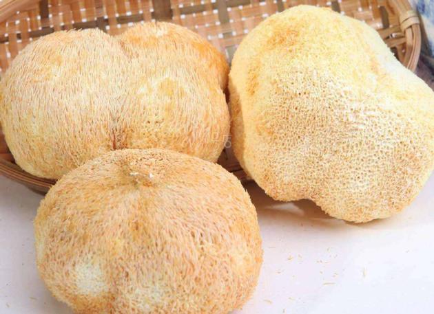 Hericium Erinaceus Extract tablet