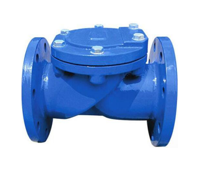 CHECK VALVES