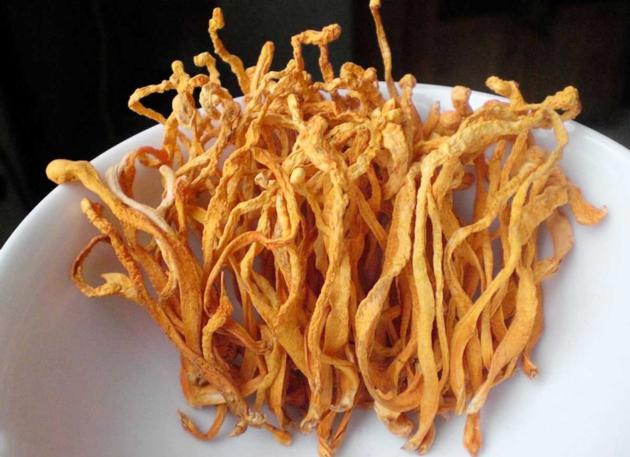 Medical Cordyceps Powder