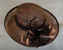Sinamay Hats