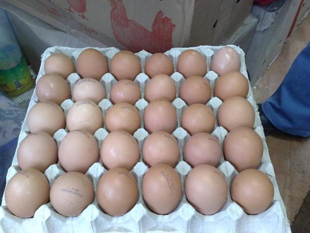 Fresh Chicken Table Eggs