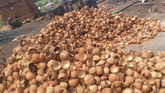 Coconut shell Barbecue charcoal prices