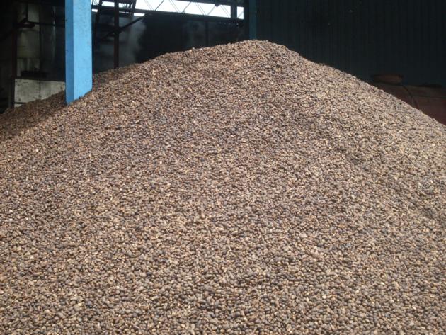 Palm Kernel Shell